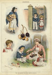 Körsbär (chromolitho) av Miss Eliza F. Manning