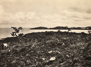Att bygga ett imperium i den fascistiska tidsåldern: Lake Tana. Etiopien, 1936-05-09 (s/v-foto) av Modestino Baldinetti