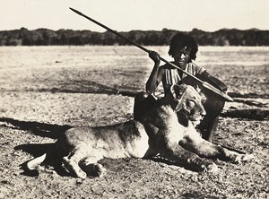 Att bygga ett imperium i den fascistiska tidsåldern: exempel på ett lejon, 1936-05-09 (s/v foto) av Modestino Baldinetti