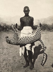 "Building an Empire" i den fascistiska tidsåldern: inhemska som visar en leopard, 1936-05-09 (s/v foto) av Modestino Baldinetti