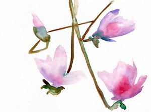 Magnolia 1, 2022 (akvarell på Langton, 300 g/m² kallpressat papper)