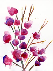 Magnolia, 2022 (akvarell på Langton, 300 g/m² kallpressat papper)