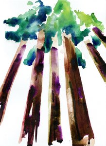 Sequoia, 2021 (akvarell på Langton, 300 g/m² kallpressat papper) av Monica Perez Vega