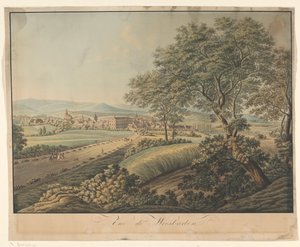 Utsikt över Wiesbaden Vue de Wiesbaden (titel på objekt) av Monogrammist DS (graveur)