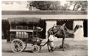 Camel Dak, ca 1911-12 (sepiafoto) av Moorli Dhur and Sons