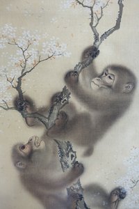 Apor i ett blommande körsbärsträd, 1 av 2, Mori Sosen, Japan, Edo-perioden, tidigt 1800-tal, bläck och färg på siden - Arthur M. Sackler Museum, Harvard University - DSC01127 av Mori Sosen