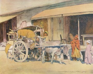 En tjurvagn, Ajmere, 1905