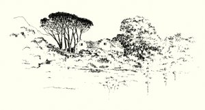Cecil J Rhodes gård (litho) av Mortimer Ludington Menpes