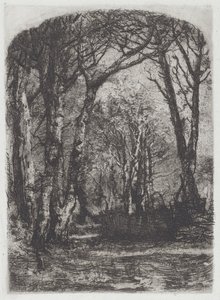 Woods [Bosco] av Mose Bianchi
