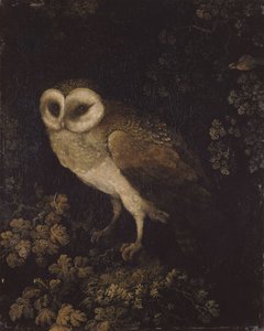 En uggla, 1780-1790.