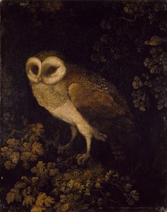 En uggla, 1780-90