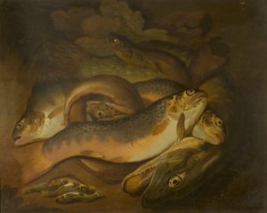 Fiskar
