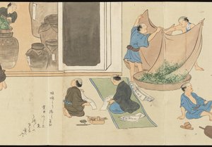 Illustrationer av teproduktionen i Uji av Motonari Sait?