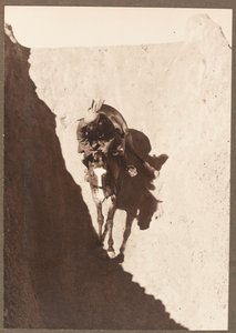 Gliden av Mullick Photo House