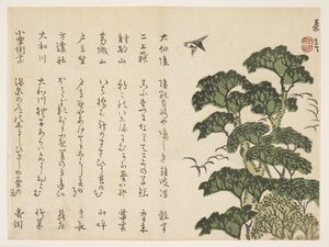 Stort träd och fåglar, ca 1830-44 (träblock i färg) av Murata Kagen