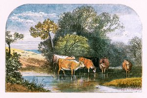 Illustration för "Den öde byn" av Myles Birket Foster