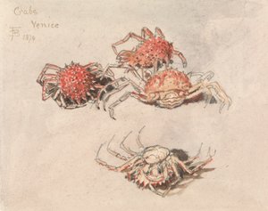 Studier av spindelkrabbor, Venedig av Myles Birket Foster