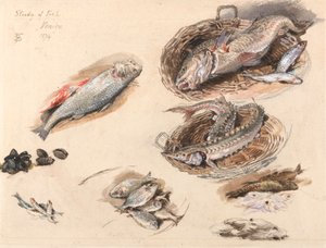 Studie av fisk, Venedig av Myles Birket Foster