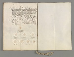 Certificate of the treaty at the Hague concluded between the States General and the King of Sweden to clarify the second article of the treaty of April 5 av Unbekannt Unbekannt