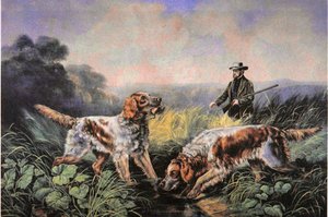 American Field Sports: Apportering av N. and Ives J.M. (after) Currier