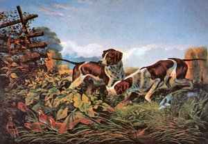 American Field Sports: On a Point av Currier and Ives