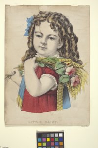 Little Daisy (手描きのリトグラフ)スウェーデン語