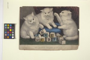 Mina tre vita kattungar (handfärgad litografi)