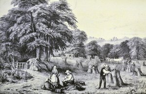 Currier & Ives Illustration 1800-talet. Skörda av N. and Ives, J.M. Currier