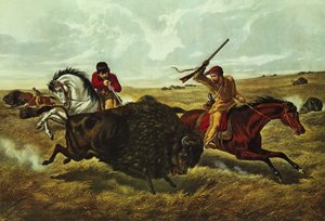 Livet på prärien - buffeljakten, 1862 (lito i färg)