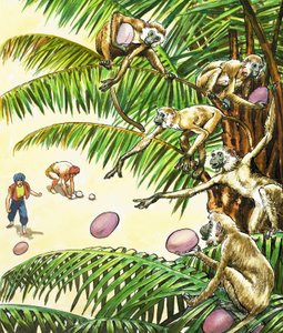 Sinbad sjömannen av Nadir Quinto
