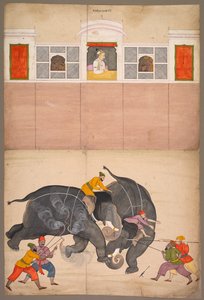 Två elefanter slåss på en innergård före Muhammad Shah, ca. 1730-40.