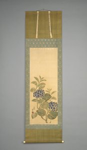 Hortensia, tidigt 1800-tal (bläck och akvarell på papper)