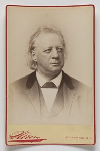 Henry Ward Beecher av Napoleon Sarony