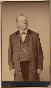 Henry Ward Beecher av Napoleon Sarony