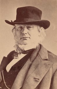 Porträtt av Horace Greeley 1811-1872, 1869. av Napoleon Sarony