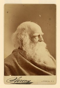 William Cullen Bryant av Napoleon Sarony