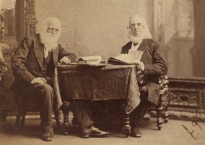 William Cullen Bryant och Peter Cooper av Napoleon Sarony