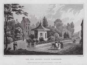 The New Sulphur Spring, Harrogate (gravyr)
