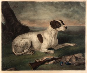 Juno av Nathaniel Currier