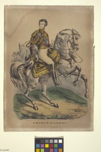Prins Albert (handfärgad litografi) av Nathaniel Currier