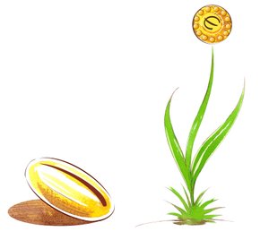 Seed and shoot - illustration av finansiell allegori av Neale Osborne