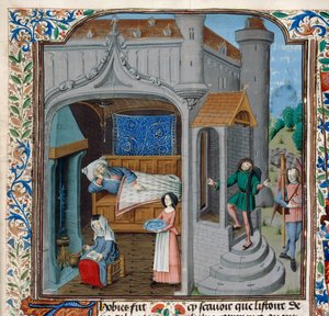 Royal 15 D,I, f.18, The blinding and cure of Tobit (vellum) av Netherlandish School