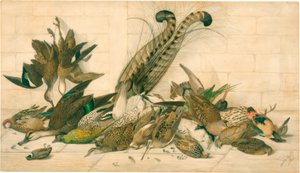 untitled (australiska gamebirds) av Neville Henry Cayley