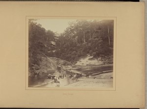 Övre Nepean av New South Wales Government Printing Office