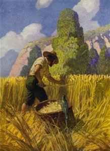 Illustration för Robinson Crusoe (färg litho) av Newell Convers (after) Wyeth