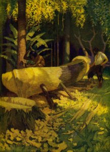 Illustration för Robinson Crusoe (färg litho) av Newell Convers (after) Wyeth