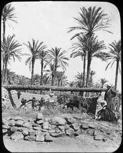 Vattenhjul, Egypten, c1890