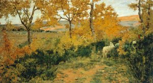 Gyllene skogen i Montemiccioli av Niccolo Cannicci