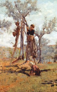 Olivskörden, ca 1892 (olja på duk)