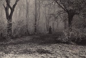 I skogen i Wien (svartvitt foto)